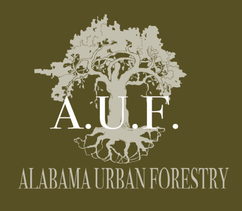 Birmingham_Alabama_Tree_Service
