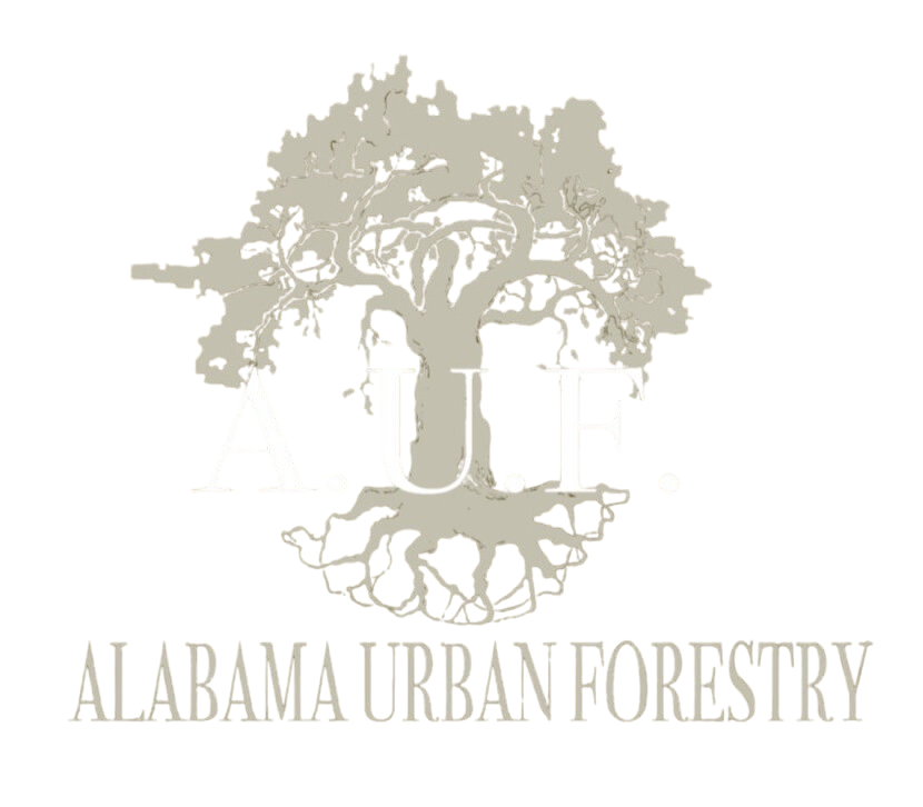 Birmingham_Alabama_Tree_Service