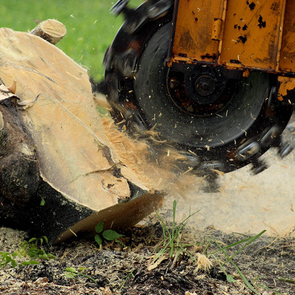 Stump Grinding in Birmingham Alabama