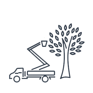 Tree Removal Birmingham Alabama