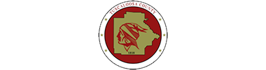 Tuscaloosa-County-Alabama-Tree Service